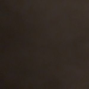 Meet your Posher, Jake